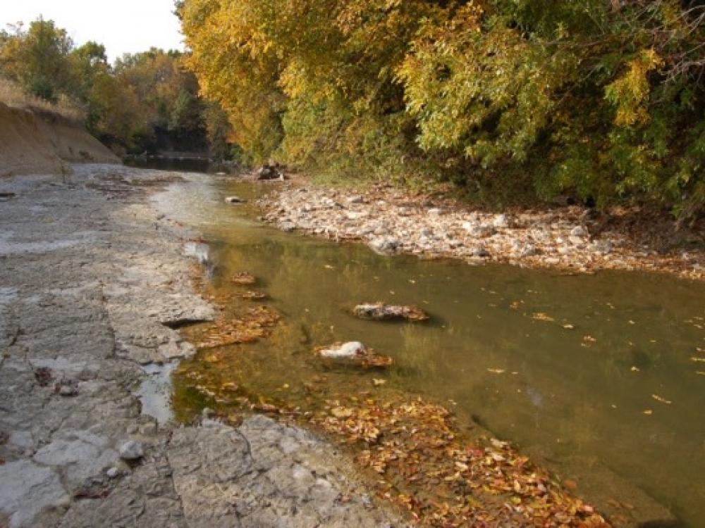 Spring Creek Forest preserves 'biological museum' in Garland