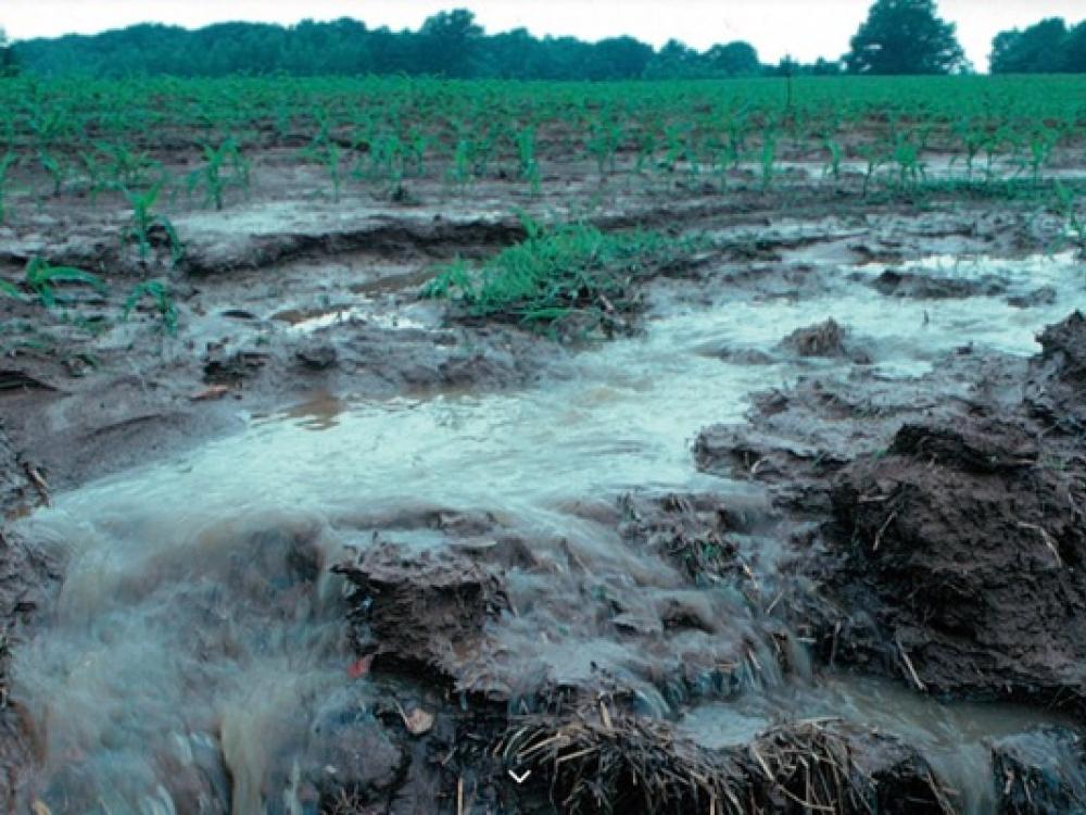 Clean water challenge to U.S. top meat producer comes to DFW ...