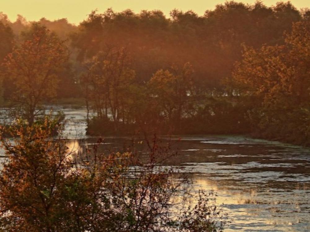 Maumee river report -heading into a great weekend-13 april 2023